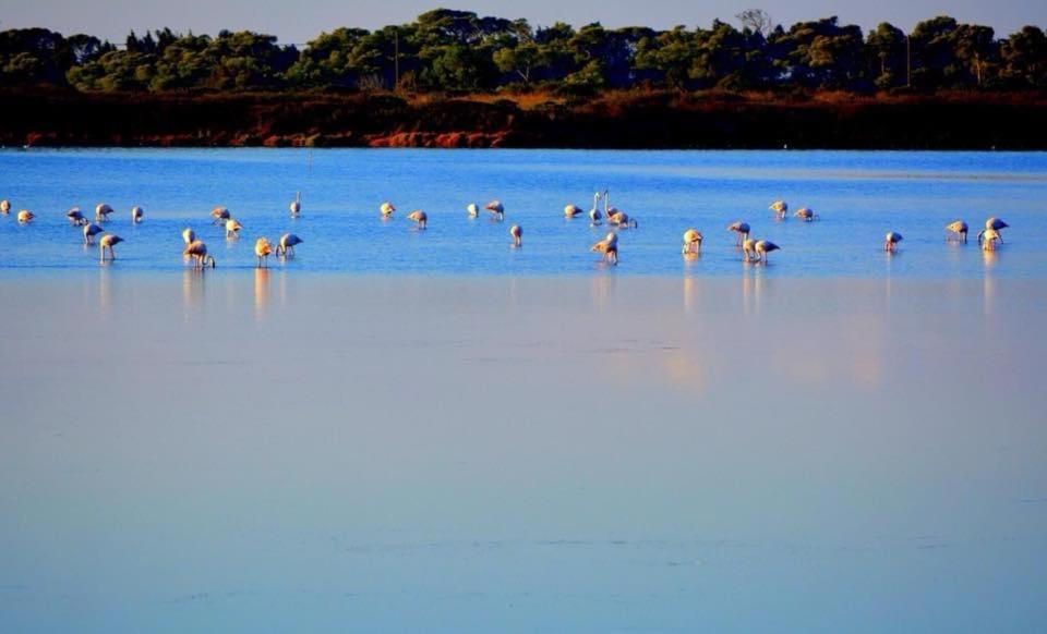 Agriturismo Santa Lucia Tratalias Экстерьер фото
