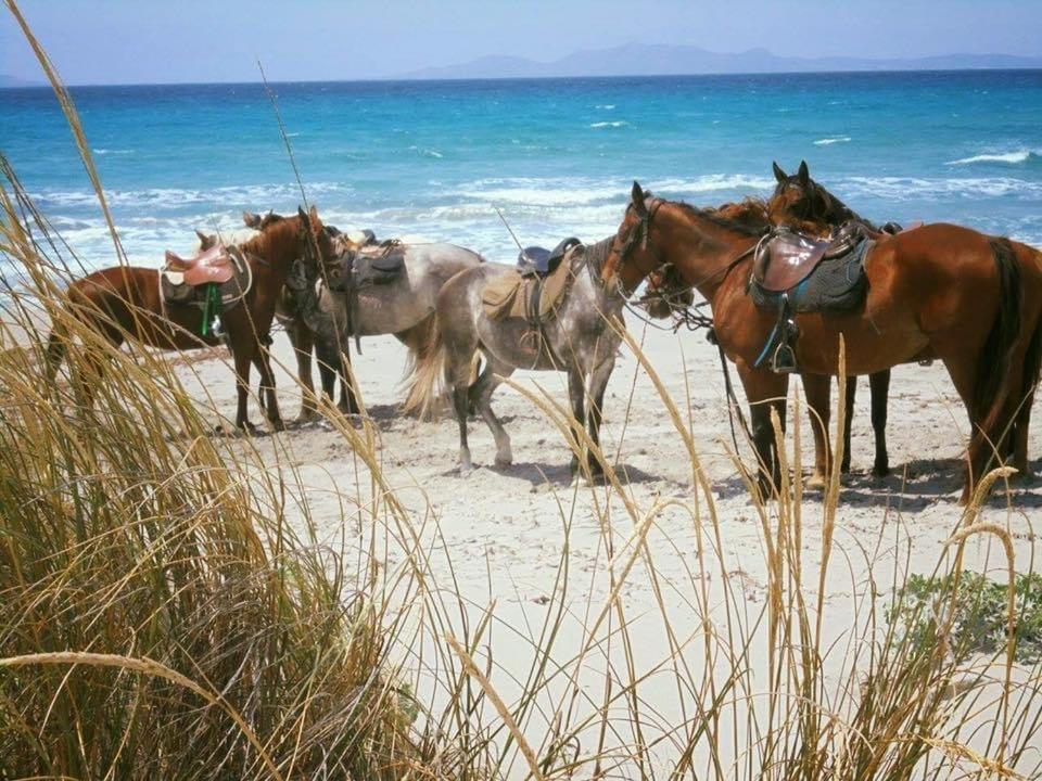 Agriturismo Santa Lucia Tratalias Экстерьер фото